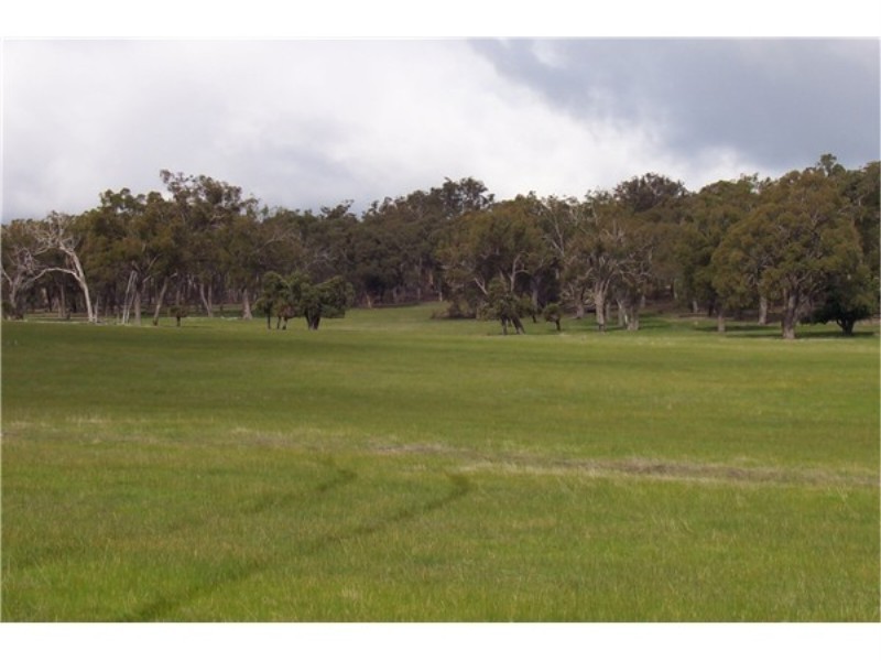 Lot 11112 Gibbs Road, Boyup Brook WA 6244