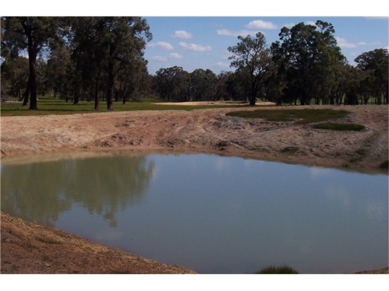 Lot 13807 Corner Maddams and Boyup Arthur Roads, Boyup Brook WA 6244