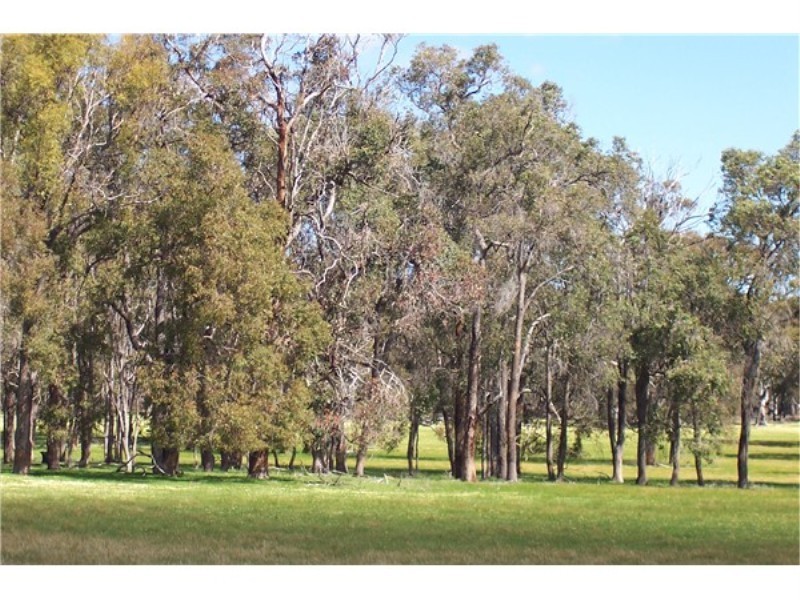 Lot 13807 Corner Maddams and Boyup Arthur Roads, Boyup Brook WA 6244