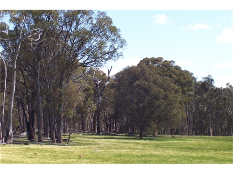 Lot 13807 Corner Maddams and Boyup Arthur Roads, Boyup Brook WA 6244