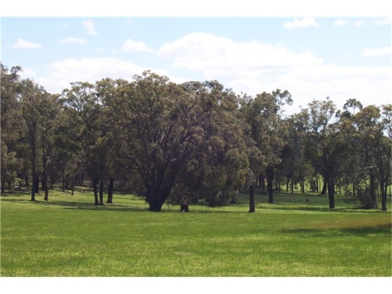 Lot 13807 Corner Maddams and Boyup Arthur Roads, Boyup Brook WA 6244