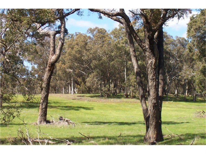 Lot 13807 Corner Maddams and Boyup Arthur Roads, Boyup Brook WA 6244
