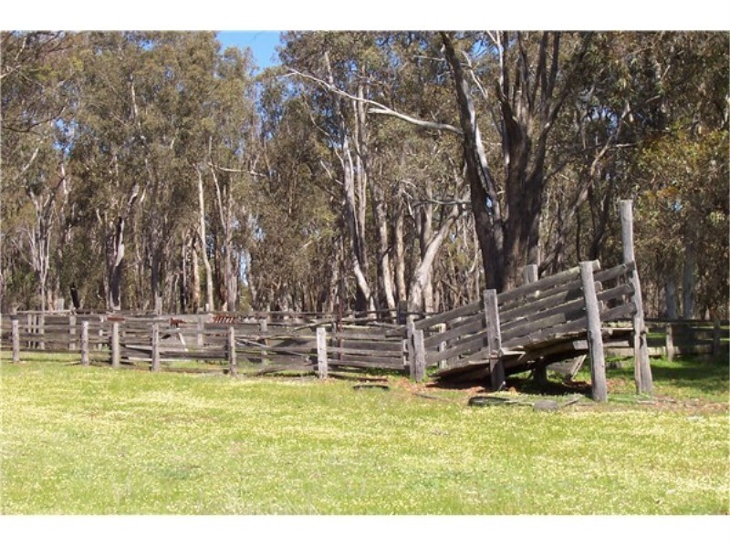 Lot 13807 Corner Maddams and Boyup Arthur Roads, Boyup Brook WA 6244