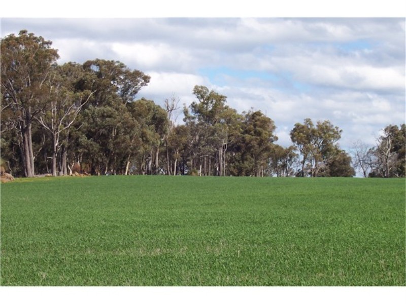 Lot 4195 Craigie Road, Boyup Brook WA 6244
