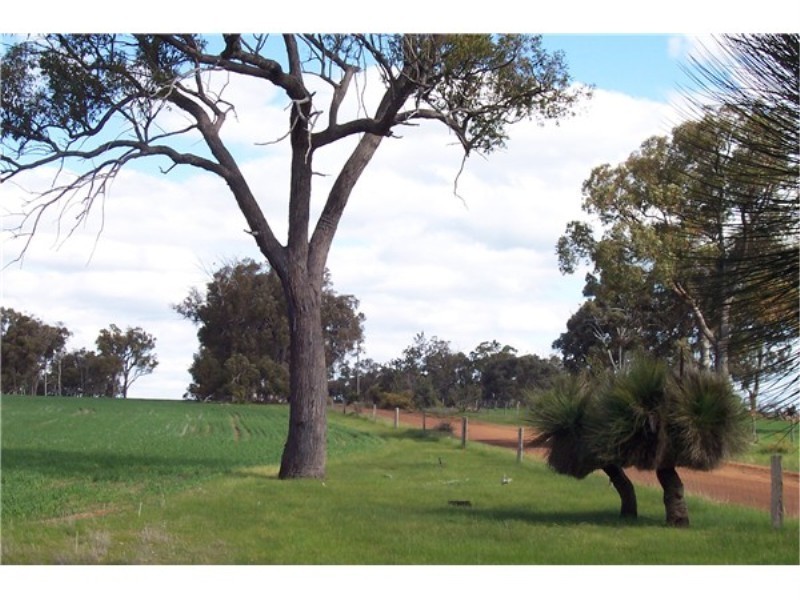Lot 4195 Craigie Road, Boyup Brook WA 6244