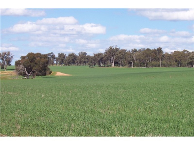 Lot 4195 Craigie Road, Boyup Brook WA 6244