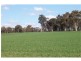 Lot 4195 Craigie Road, Boyup Brook WA 6244