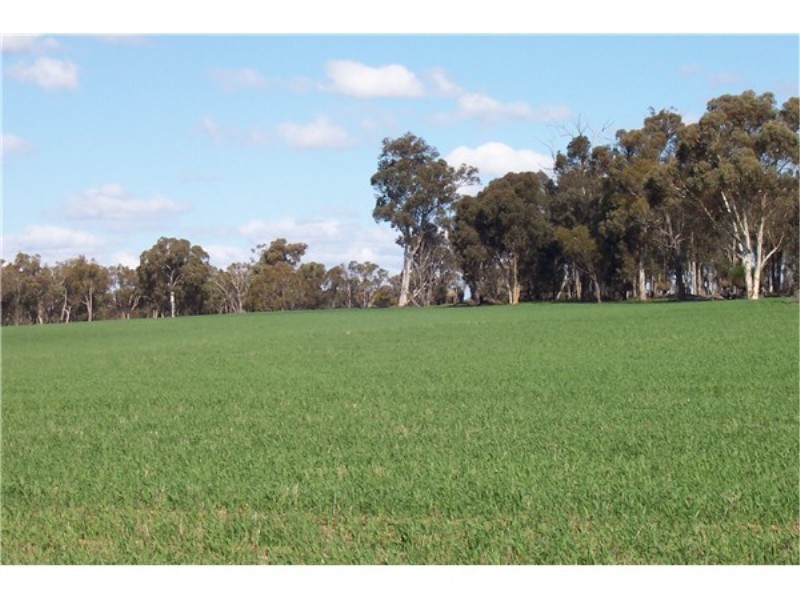 Lot 4195 Craigie Road, Boyup Brook WA 6244