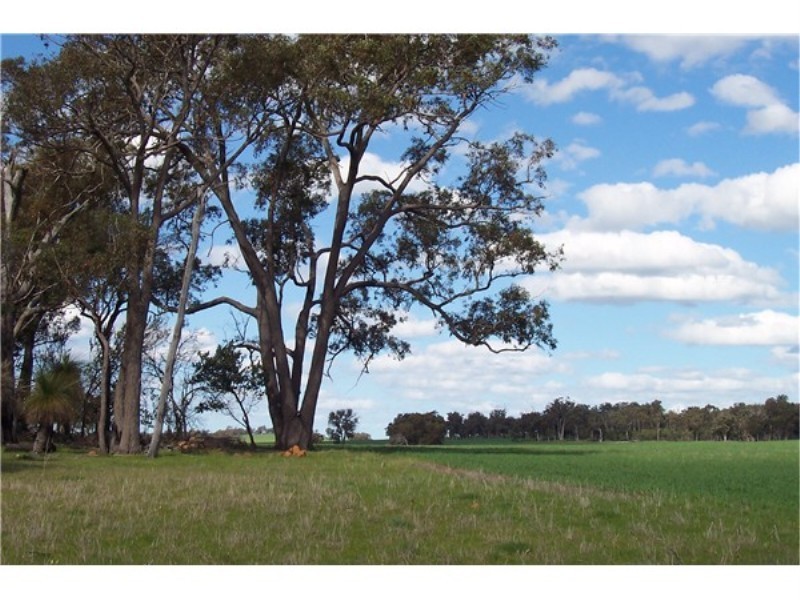 Lot 4195 Craigie Road, Boyup Brook WA 6244