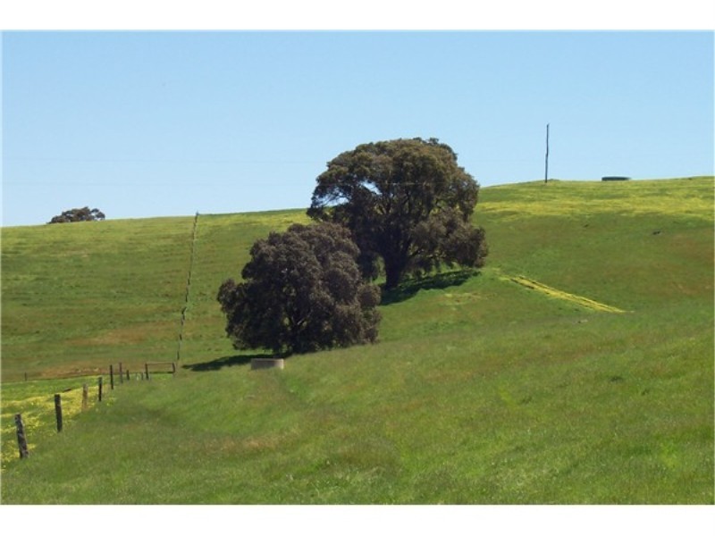 Lot 695 Terry Road, Boyup Brook WA 6244