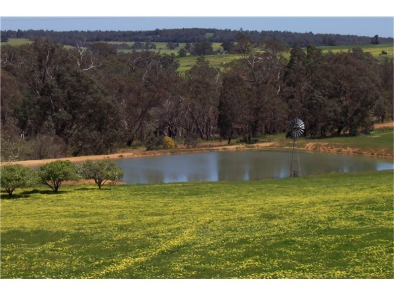 Lot 695 Terry Road, Boyup Brook WA 6244