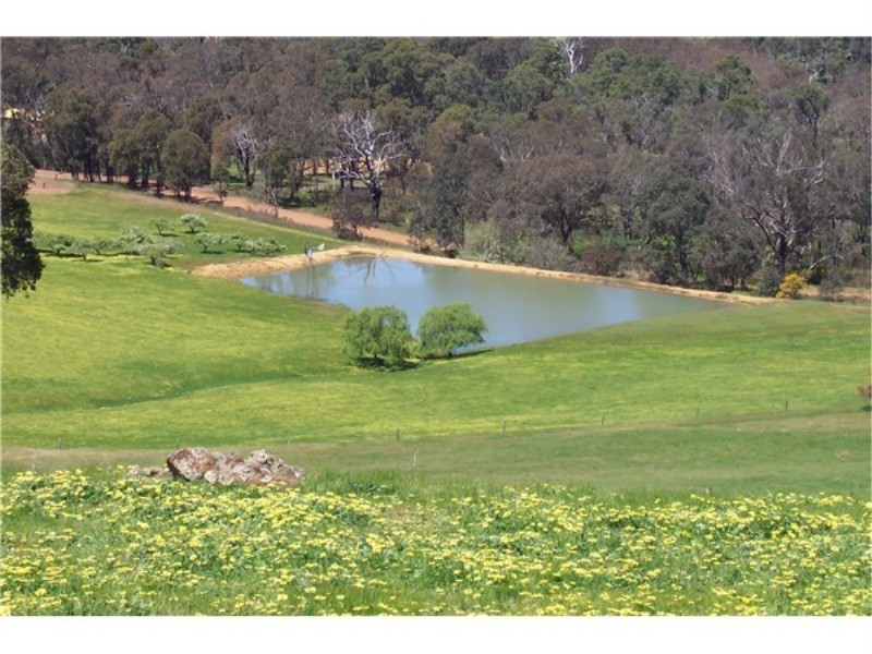 Lot 695 Terry Road, Boyup Brook WA 6244