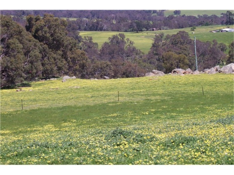 Lot 695 Terry Road, Boyup Brook WA 6244