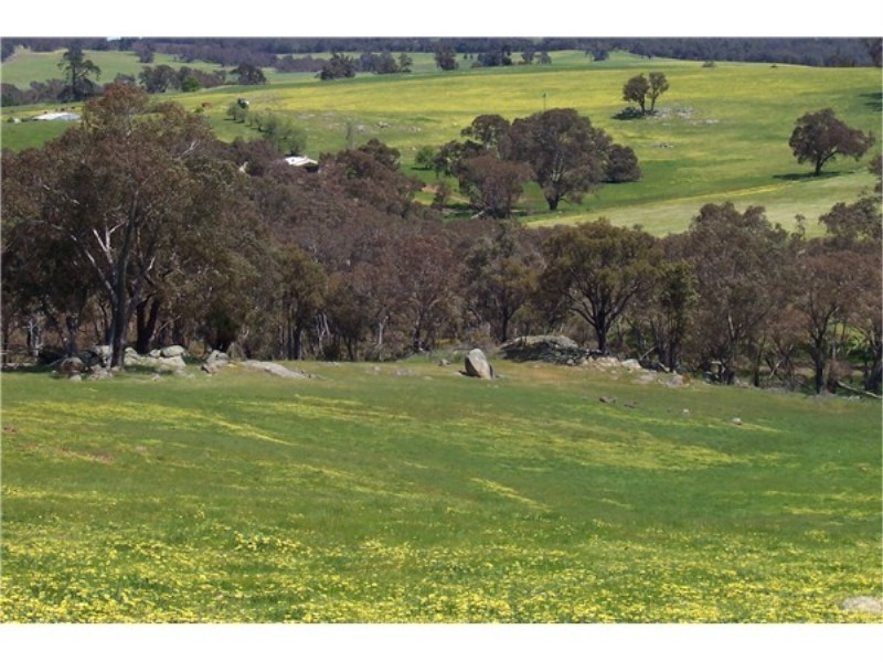 Lot 695 Terry Road, Boyup Brook WA 6244