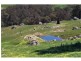 Lot 695 Terry Road, Boyup Brook WA 6244