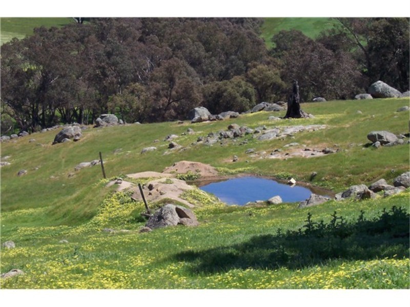 Lot 695 Terry Road, Boyup Brook WA 6244