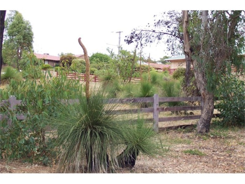 21 KNAPP STREET, Boyup Brook WA 6244