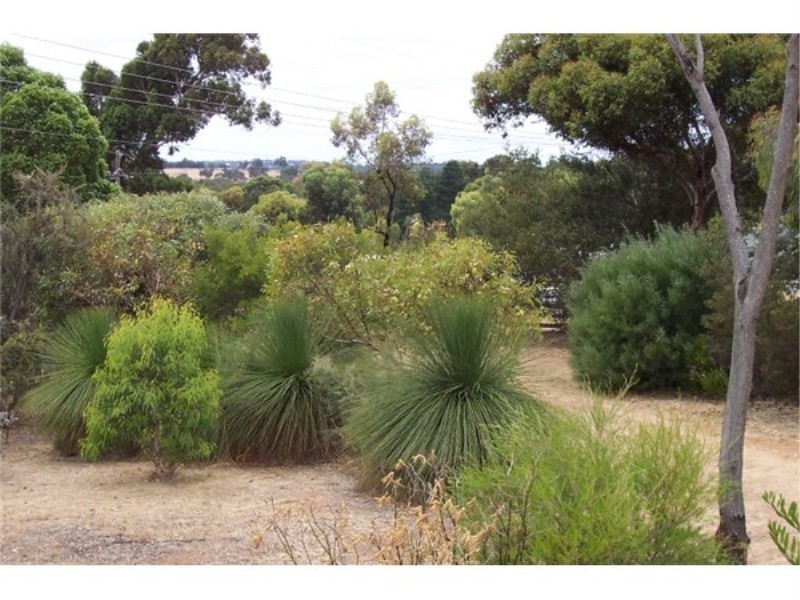 21 KNAPP STREET, Boyup Brook WA 6244