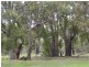Lot 71 Old Mail Road, Boyup Brook WA 6244