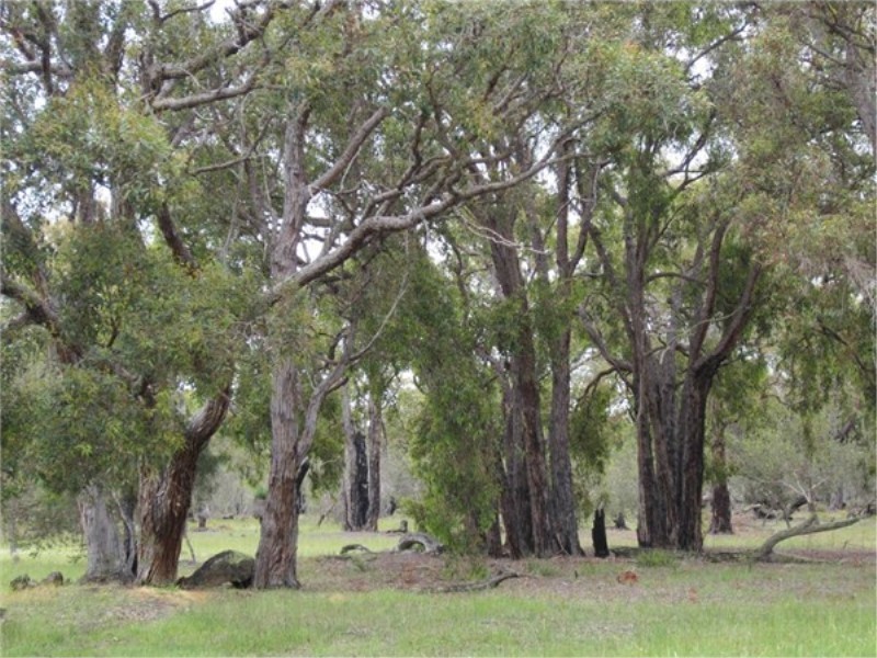 Lot 71 Old Mail Road, Boyup Brook WA 6244