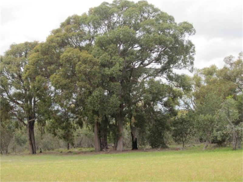 Lot 71 Old Mail Road, Boyup Brook WA 6244