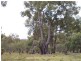 Lot 71 Old Mail Road, Boyup Brook WA 6244