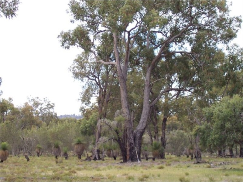 Lot 71 Old Mail Road, Boyup Brook WA 6244