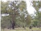 Lot 71 Old Mail Road, Boyup Brook WA 6244
