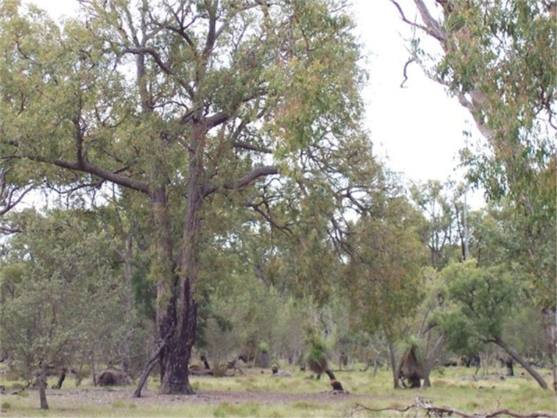 Lot 71 Old Mail Road, Boyup Brook WA 6244