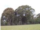 Lot 71 Old Mail Road, Boyup Brook WA 6244