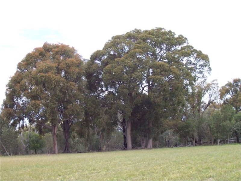 Lot 71 Old Mail Road, Boyup Brook WA 6244