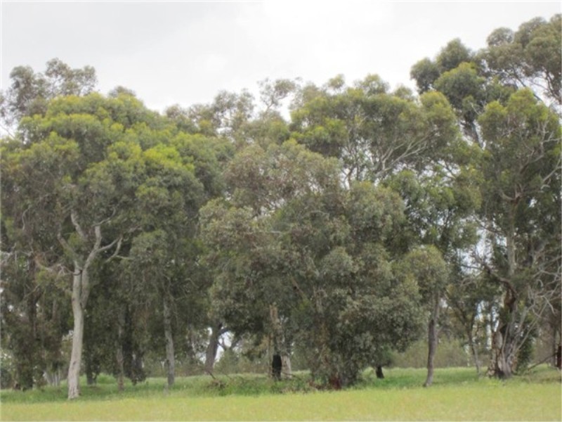 Lot 71 Old Mail Road, Boyup Brook WA 6244