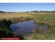 1993 Wargeila Road, Yass NSW 2582