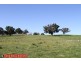 1993 Wargeila Road, Yass NSW 2582