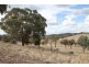 525 Murrumbateman Road, Murrumbateman NSW 2582