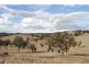 525 Murrumbateman Road, Murrumbateman NSW 2582