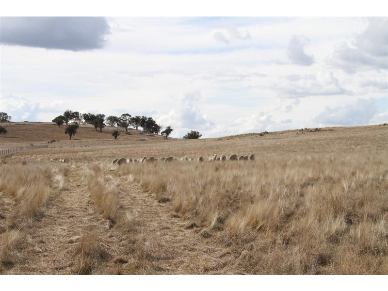 525 Murrumbateman Road, Murrumbateman NSW 2582