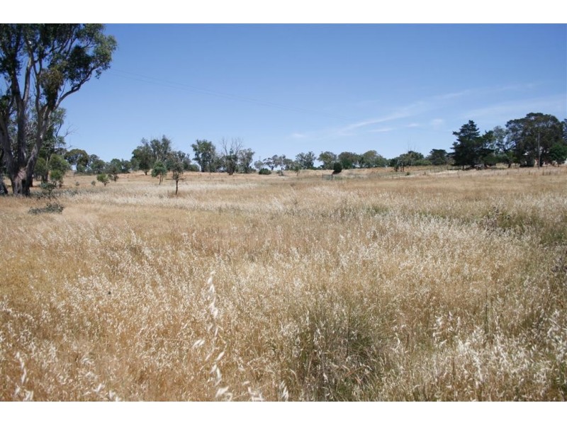 Lot 1 Cnr Bogolong & Airy Street, Bowning NSW 2582