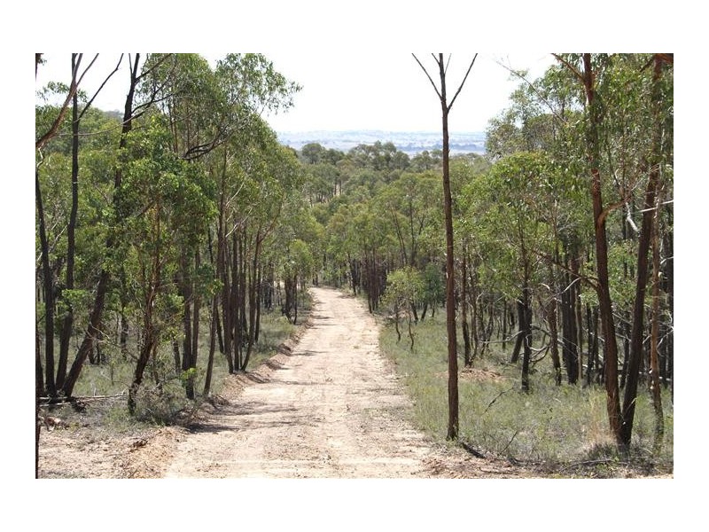 1242 Yass River Road, Murrumbateman NSW 2582