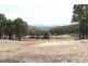 1242 Yass River Road, Murrumbateman NSW 2582
