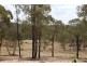 1242 Yass River Road, Murrumbateman NSW 2582