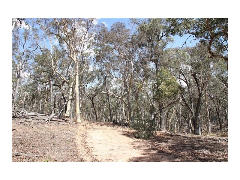 1242 Yass River Road, Murrumbateman NSW 2582