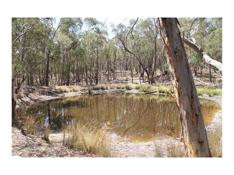 1242 Yass River Road, Murrumbateman NSW 2582