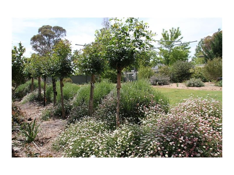 32 Meehan Street, Yass NSW 2582