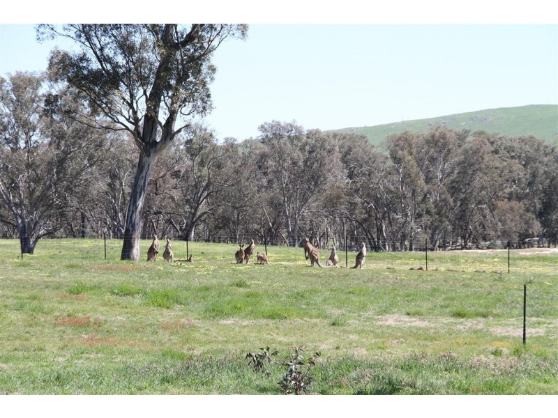 8 Parklands Avenue, Murrumbateman NSW 2582