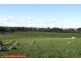 1615 Wargeila Road, Yass NSW 2582