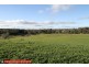1615 Wargeila Road, Yass NSW 2582