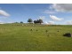 Lot 1 Hume Highway, Bookham NSW 2582