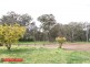 67 Richmond Street, Binalong NSW 2584
