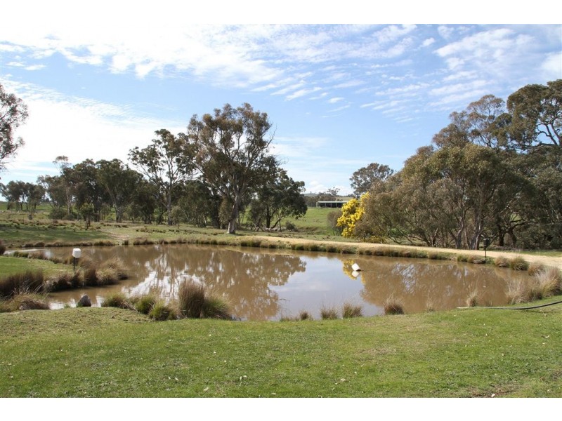 378 Wargeila Road, Yass NSW 2582